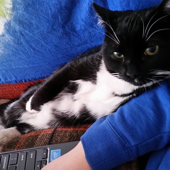 Meet your Posher, S - Picture 2 of 3